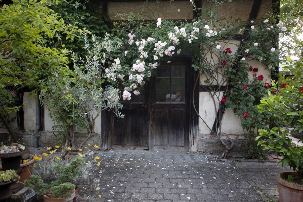 Villaflora Gaestehaus Riedlingen Exterior foto